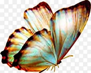 ��ɫ��Ч������-������