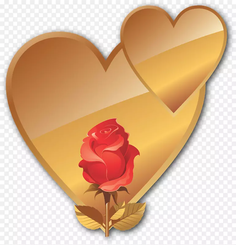 ���ͼ�����-�������-������