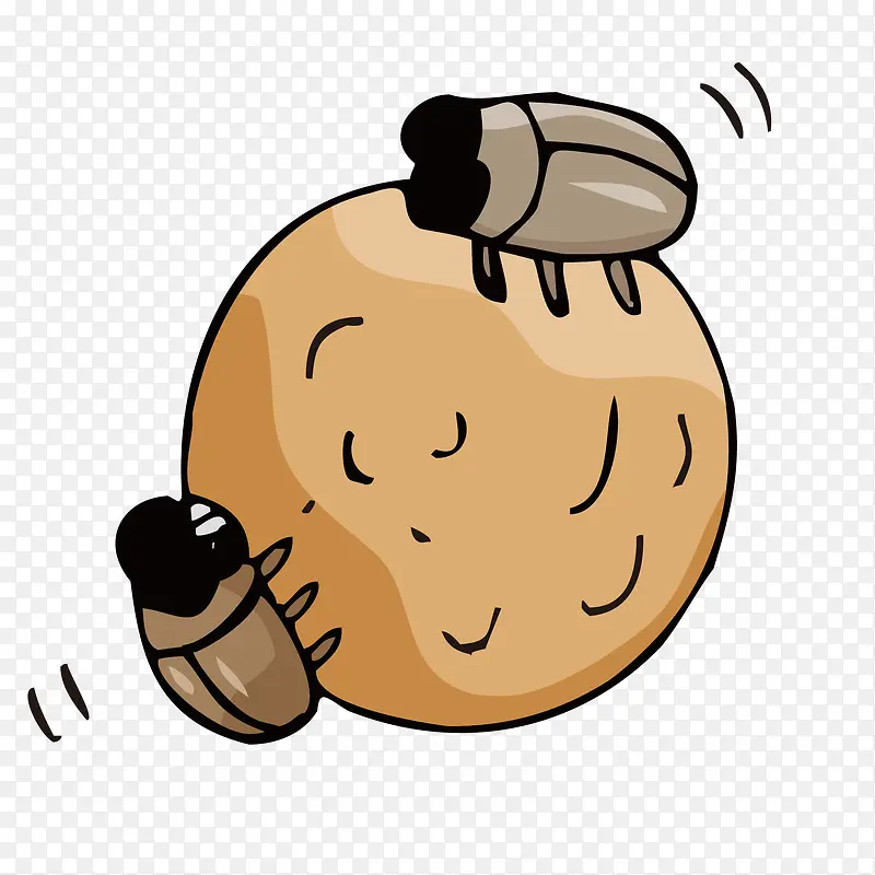 ��ͨʸ��ʺ�����涯��-������