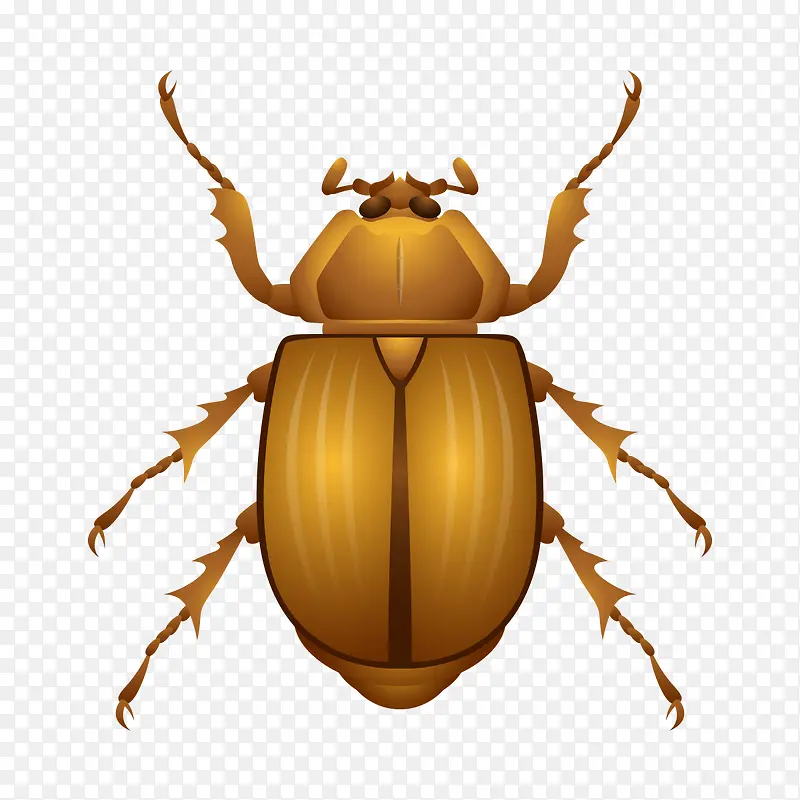 ��ͨ����-������