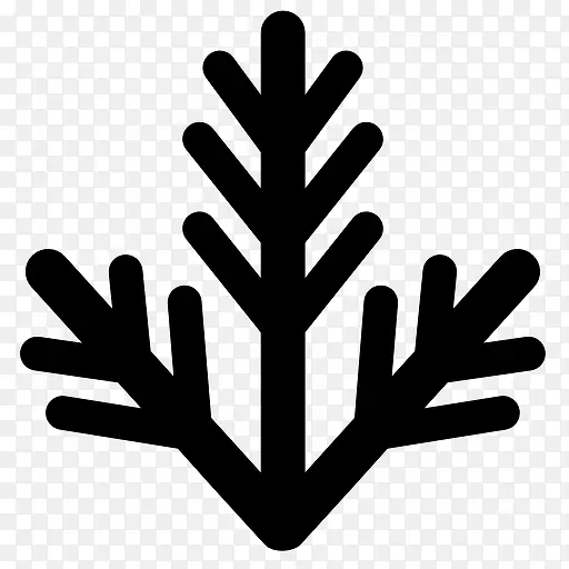 ������֦ͼ��-������