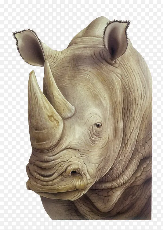 �װ�ɫϬţ�廭-������