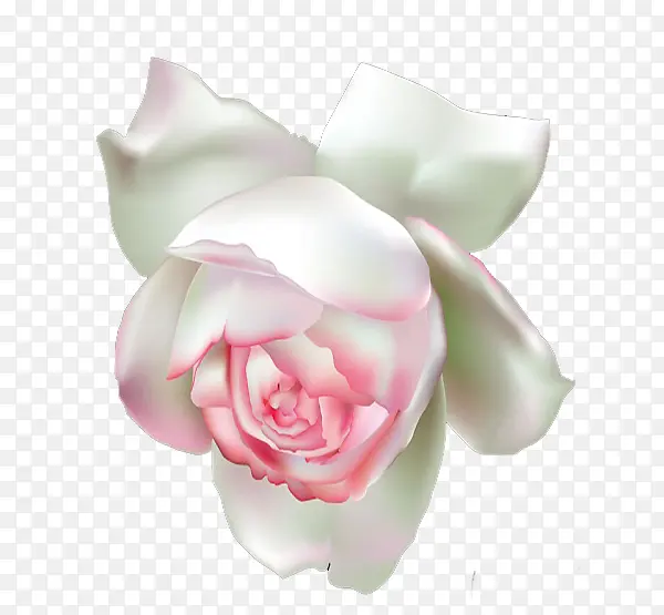 ������ɳ��ʯ��-������