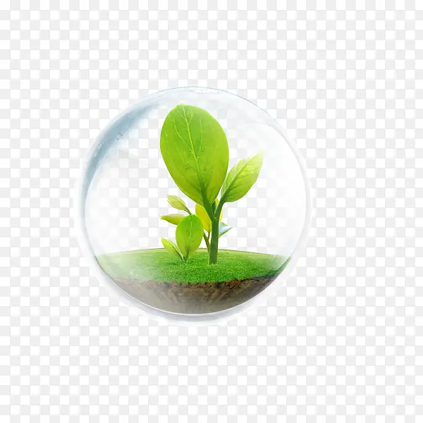 С��-������