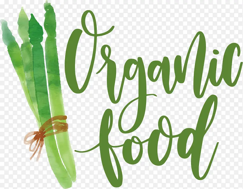 ��ɫ�ֻ��߲�-������