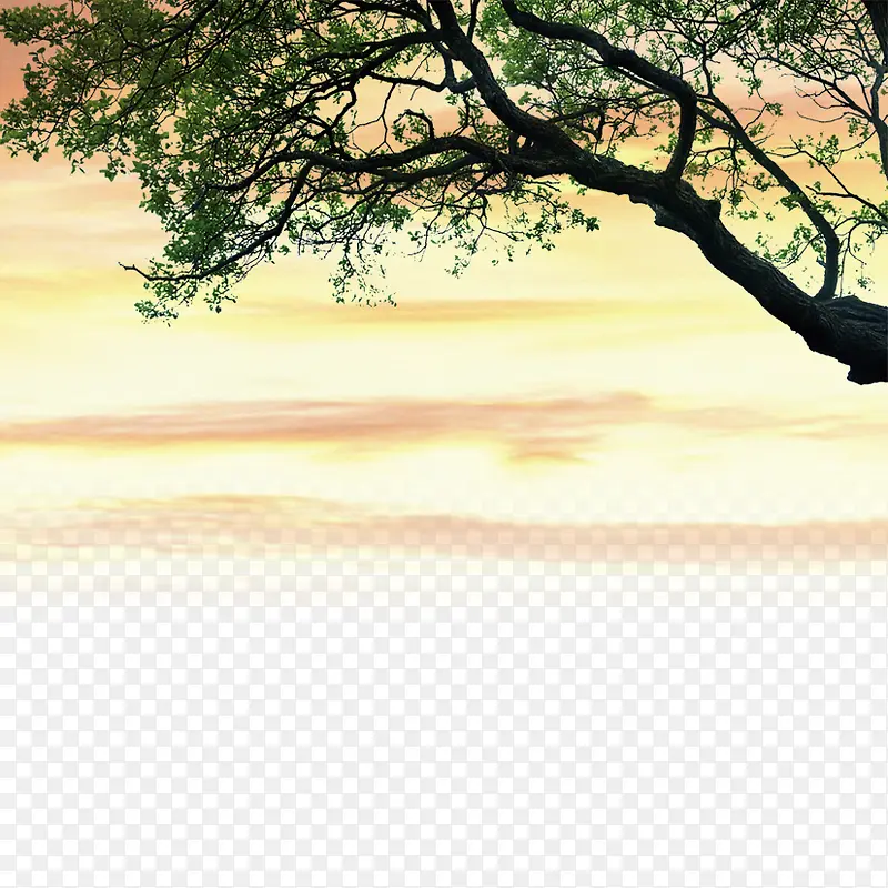 �����ز�����-������