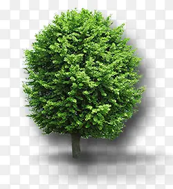 ����-������