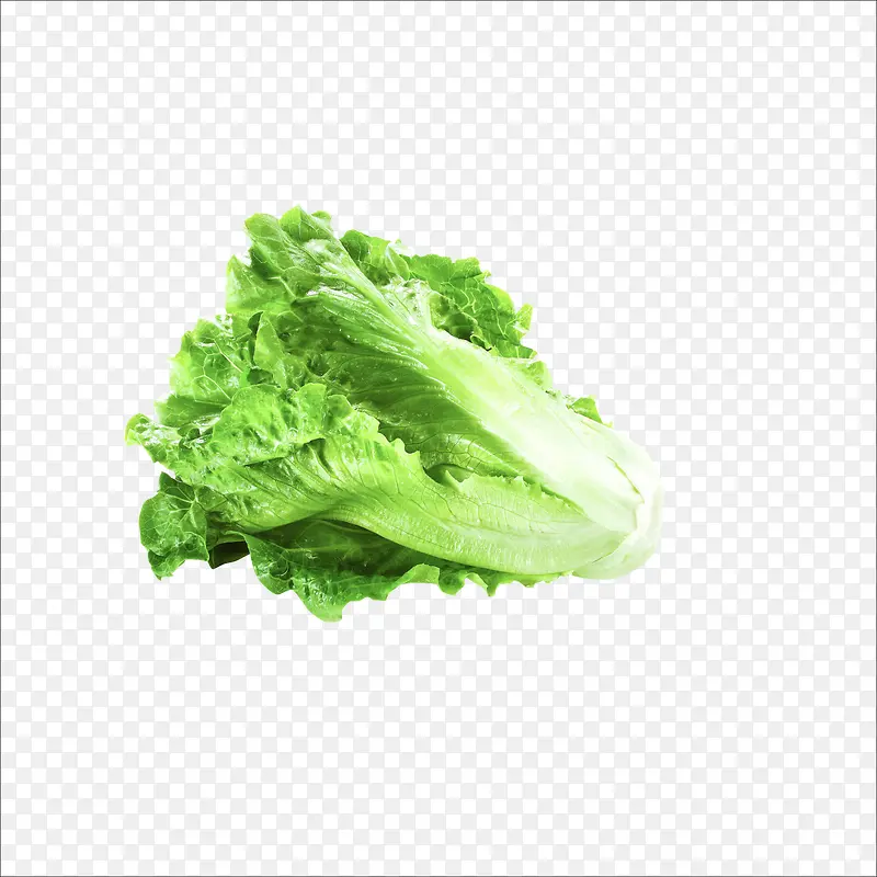 ��������-������