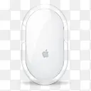 ��ɫ���-������