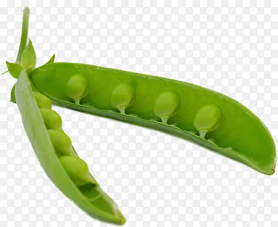 �߲˶���-������