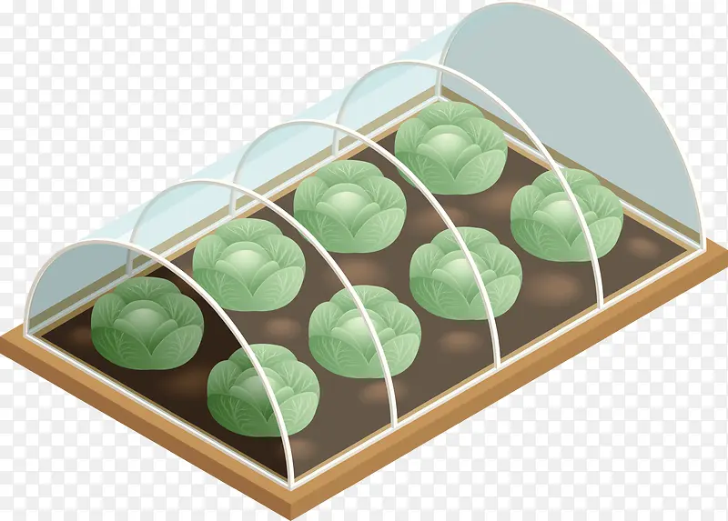 ʸ����ɫ�����߲�-������