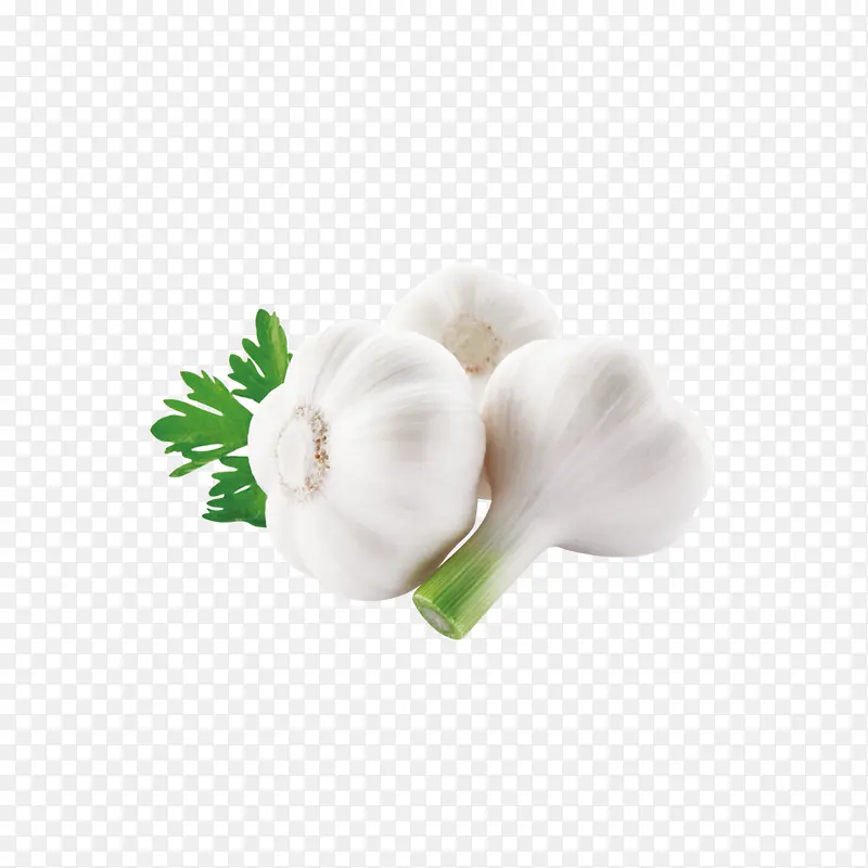 �߲˰״���-������