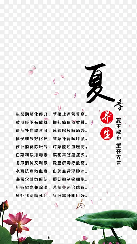 �ļ������İ��Ű�-������