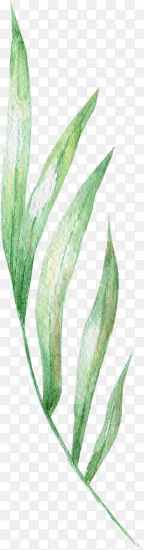 �ֻ�ˮ��һƬ����Ҷ-������