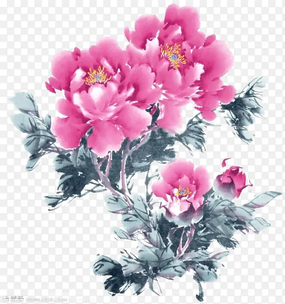 ˮ��ˮ��ĵ����-������