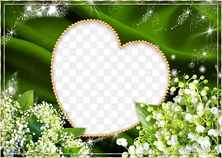 ���䰮�Ĵ�ͷ������-������