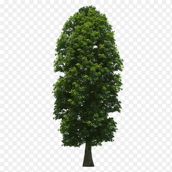 �������زĴ����ز�-������