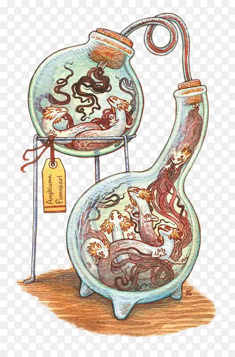 ����ʵ�������е����ι���-������