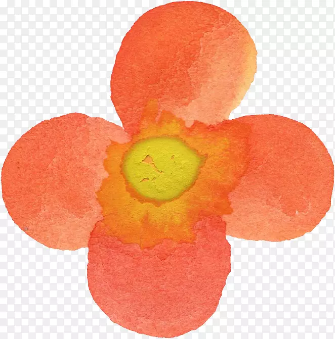 ˮ�ʻ�����-ˮ�ʻ�-������