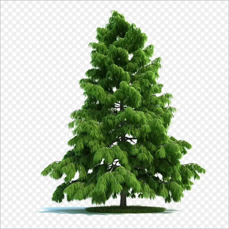 ����-������