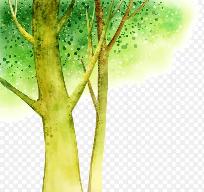 ��ɫ����-������