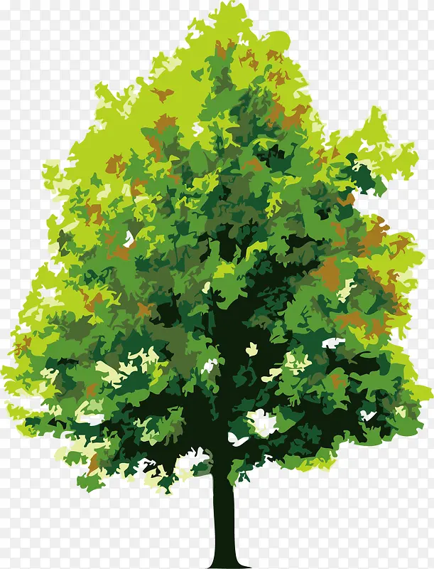 ��ͨ����ʸ������-������