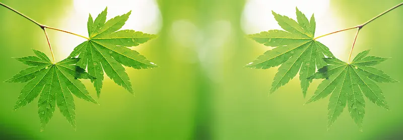 �Ա��ļ�������������-������