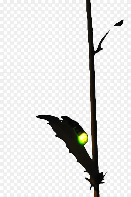 ����ө���-������