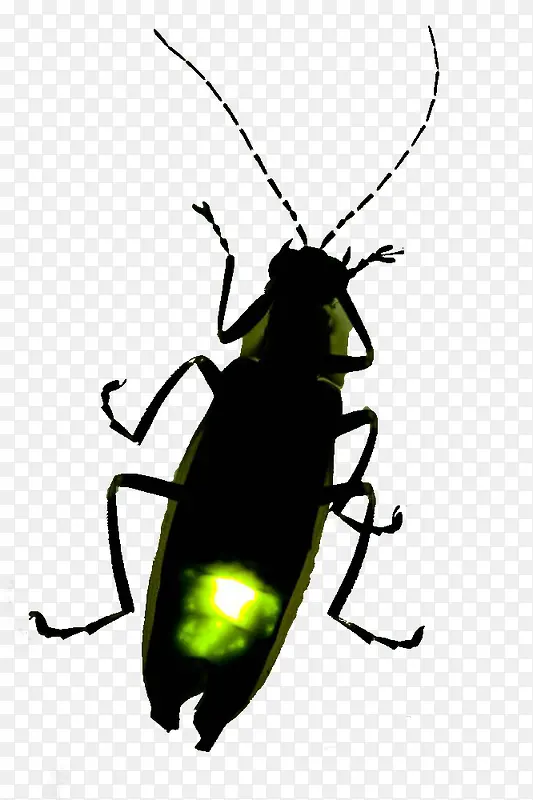 ��ɫө���-������