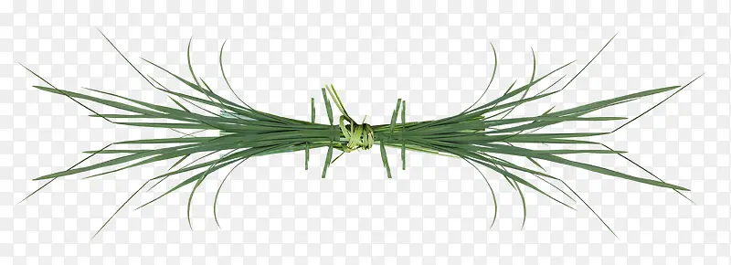 һ����-������