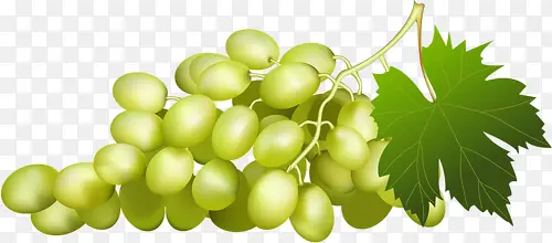 ���Ѵ�-������