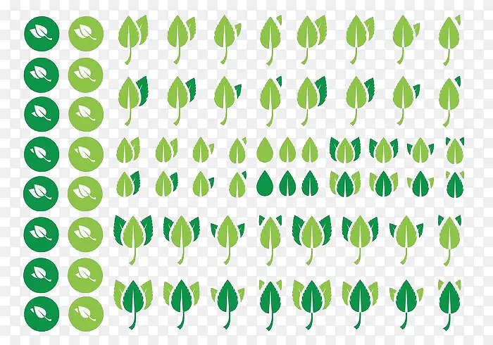 ����Ҷ��-������