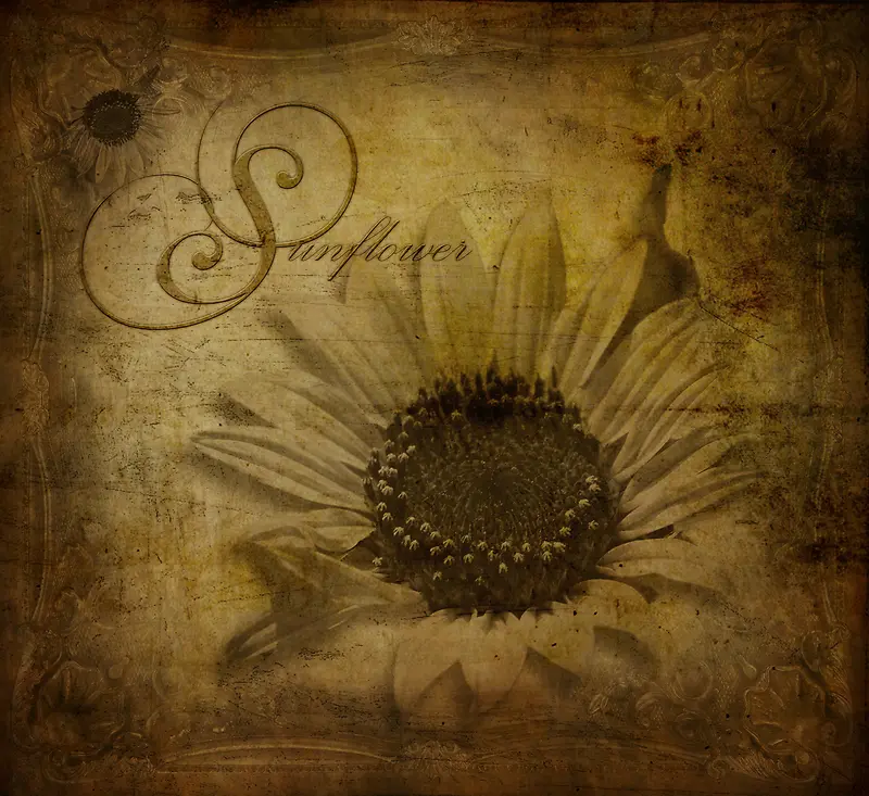 ���տ�����-������