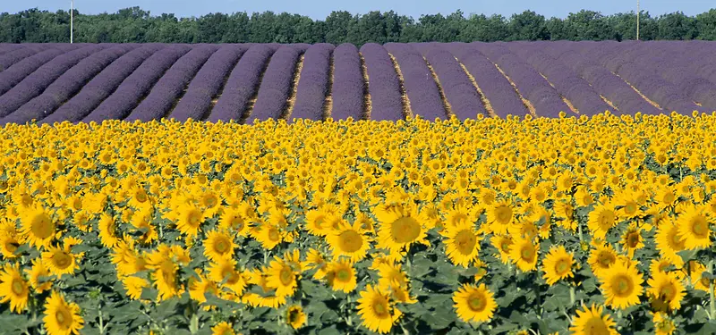 ����ͼƬ-������