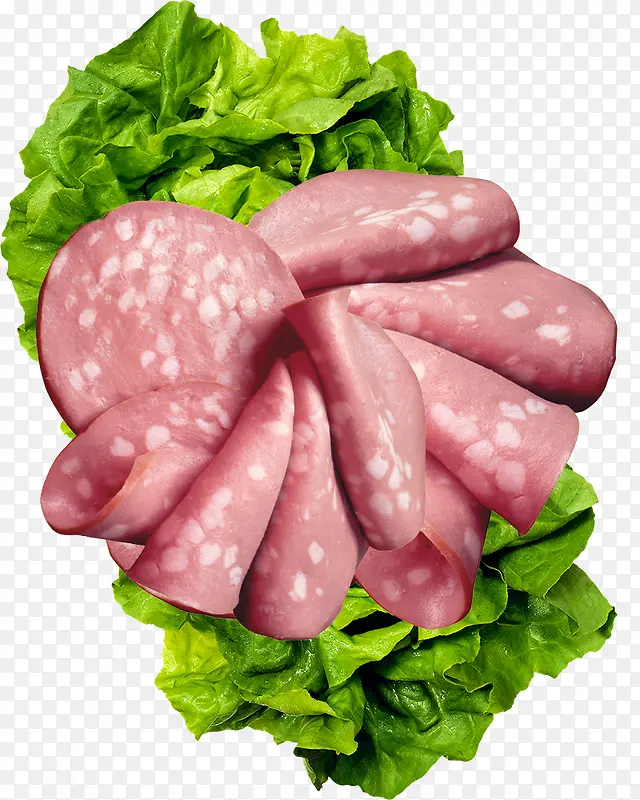 ������ϻ���Ƭ-������