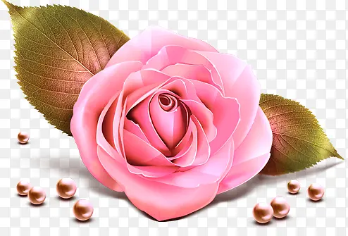 õ�廨���鰮�黨��-������