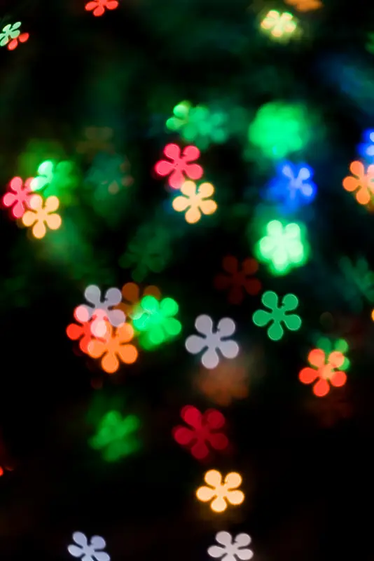 ��Ҷ����Ч��-������