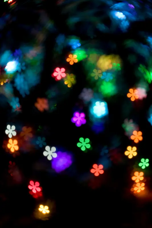 ��Ч ��Ҷ����Ч��-������