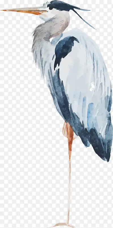 ˮ�ʻ�������ʸ��-������