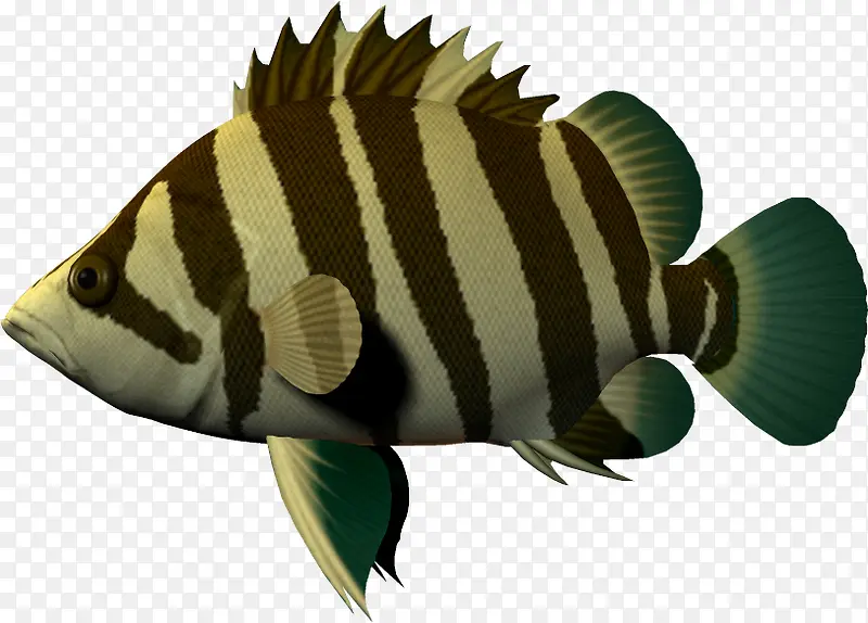 ��ͨ������ �޷���-������