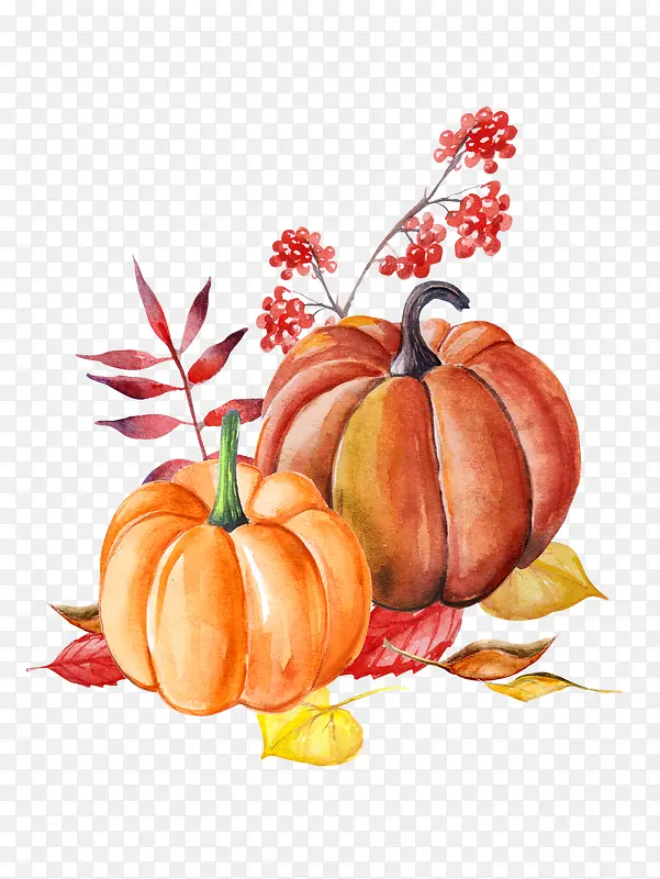 �ֻ�ˮ���Ϲ�ʳ��-������