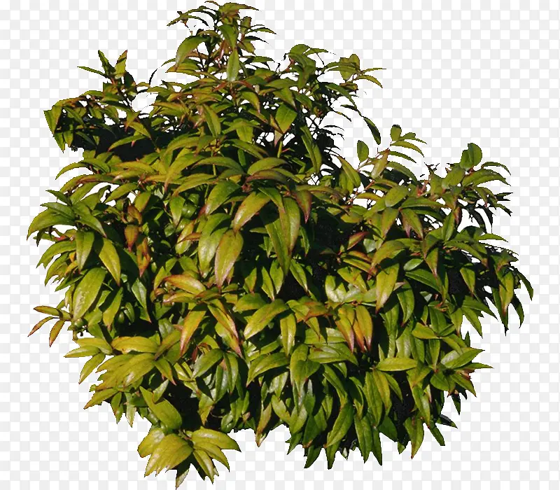 â����-������