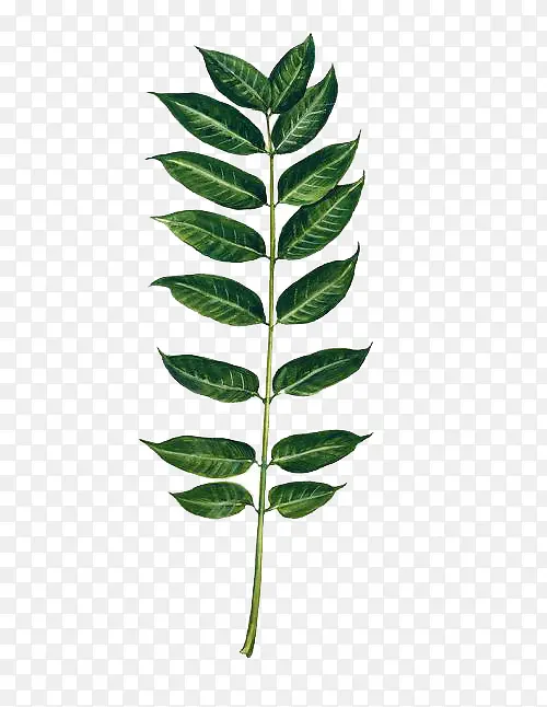 дʵ��Ҷ�ز�-������