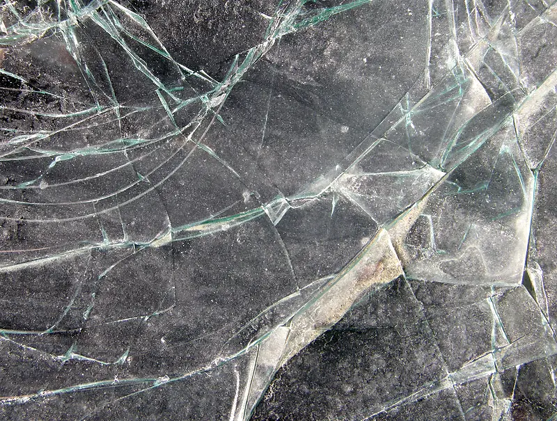 �����ѷ���Ʊ���-������