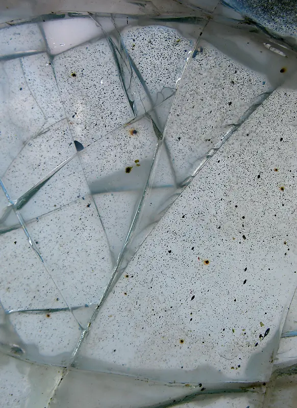 �������Ʊ���-������