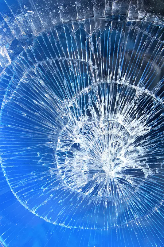 �����ѷ챳��-������