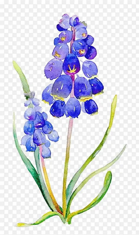 Ψ���ֻ��ʻ�-������