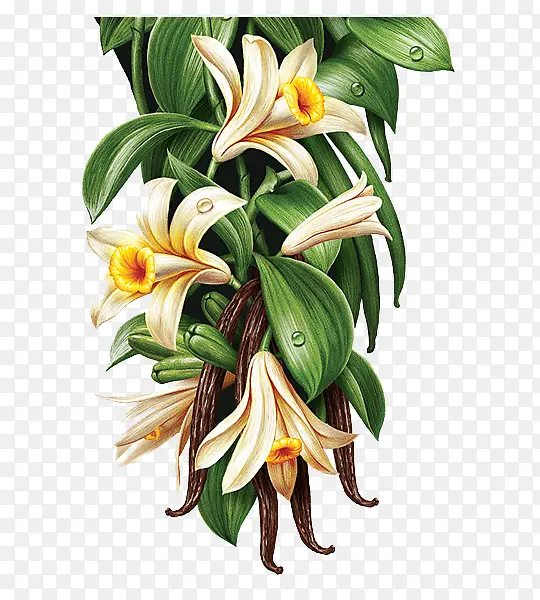 �����ͻ�����廭-������