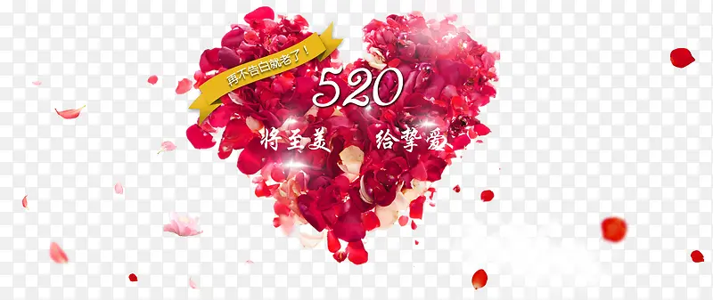 520-������