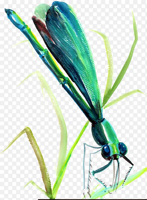 ��ɫ���-������